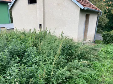 Revitalizace zahrady Brod nad Dyjí