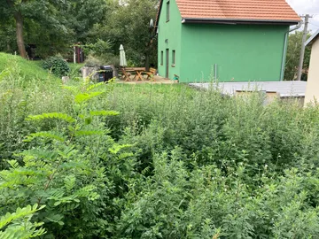 Revitalizace zahrady Brod nad Dyjí